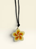 Collar Miel
